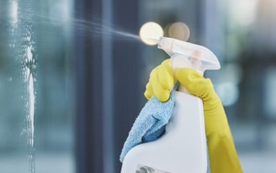 Siivous- ja asiointipalvelut